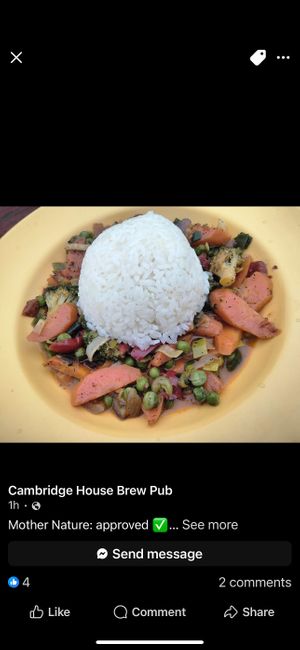 Chef special vegetable stew: carrots, broccoli, red peeper, leeks, onions and peas in red sauce over rice    at The Cambridge House Brew Pub in Granby