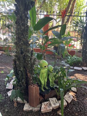 Garden vibes    at Cantina da Bea in Foz Do Iguacu