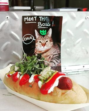 The V-Dog with aioli, tomato sauce, mustard, vegan cheese, caramelized onion, pesto on a delicious soft bun.  at Mr Jackson's Plant Based Food Truck in Tauranga