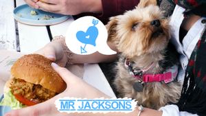 Doggo friendly  at Mr Jackson's Plant Based Food Truck in Tauranga