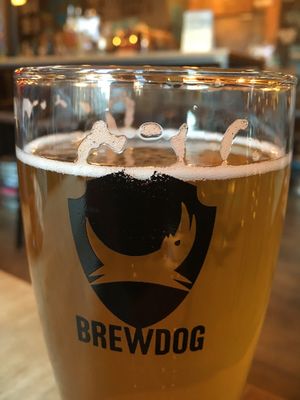Beer  at BrewDog in Dundee
