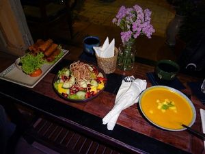 Springrolls, Bananaflowersalad and Soup at Tree Hugger in Dong Hoi