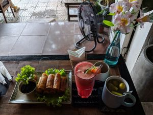 Spring rolls, watermelon detox juice, and delicious herbal tea at Tree Hugger in Dong Hoi