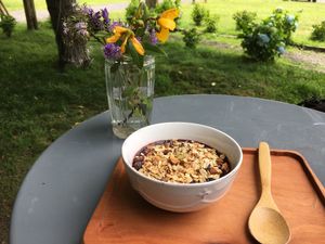Acai bowl with granola  at Mundo Elefante in Pucon