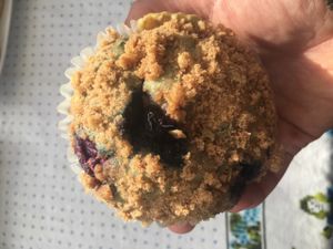 Blueberry muffin  at Shoofly in Portland
