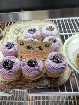   at Shoofly in Portland