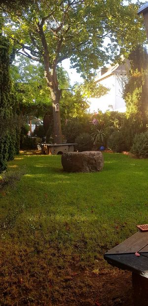 Outside at Weingut Jakob Christ Gutsausschank in Ruedesheim