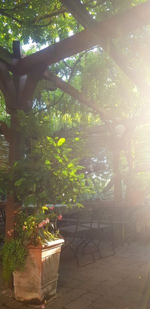 Outside at Weingut Jakob Christ Gutsausschank in Ruedesheim