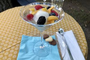 Vegan dessert: lemon sorbet and fresh fruits in prosecco / EUR 8,50 (Aug 2020) at Weingut Jakob Christ Gutsausschank in Ruedesheim