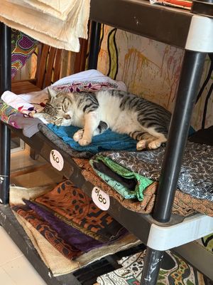   at Elixir Restaurante Pucallpa in Pucallpa