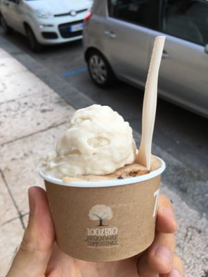 Compostable cup and spoon at Gelateria La Romana in Verona