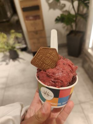 Berry stracciatella and dark chocolate at Gelateria La Romana in Verona