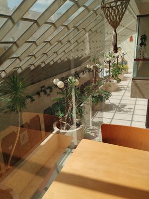  at Cozinha Consciente in Coimbra