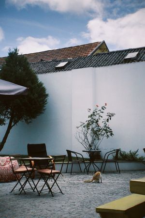 Esplanada at Arvore do Mundo in Porto