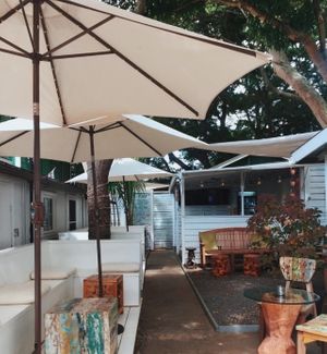 Plenty of outdoor seating under the mango trees  at Nourish Health Bar and Cafe  in Paia