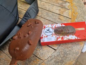 Tons of vegan ice creams to choose from! at The Banyan Tree in 