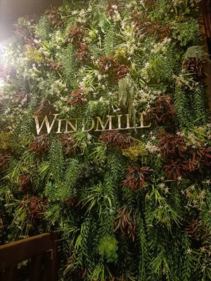  at Windmill Restaurant in Paphos