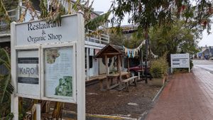  at The Grain Mill - Organic Bistro and Shop in Knysna