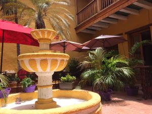 backyard at Aborigen in Santa Marta