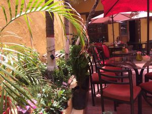 backyard  at Aborigen in Santa Marta