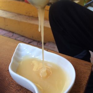 Honey! at Aborigen in Santa Marta