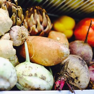 A great selection of fresh vegetables  at EcO Bar in Tel Aviv