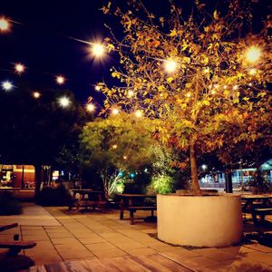 Outside eating area at The Little Shop of Plenty in Maylands