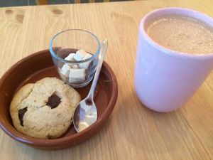 P'tits Poissons Verts, Vegan Organic restaurant near all the best tourists spots in Nimes! at Les P'tits Poissons Verts in Nimes