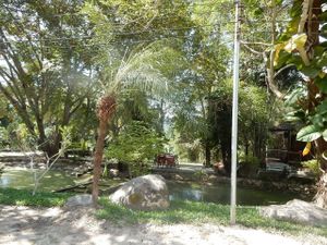 The Garden. at Master Ruma Vegetarian in Chiang Mai