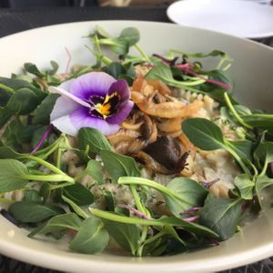 Fancy pasta! (2018) I totally forget what kind it was at Vegetus 베제투스 in Seoul