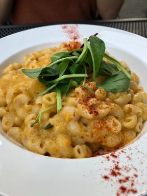 Mac n' cheese (2019) at Vegetus 베제투스 in Seoul