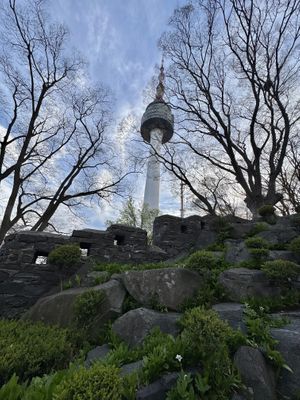   at Vegetus 베제투스 in Seoul