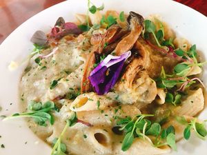 Cashew Cream Pasta!  at Vegetus 베제투스 in Seoul