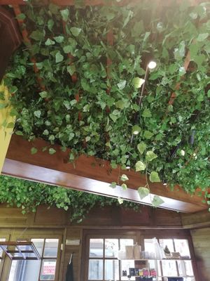 Interior local at Veggie's World in Andorra La Vella