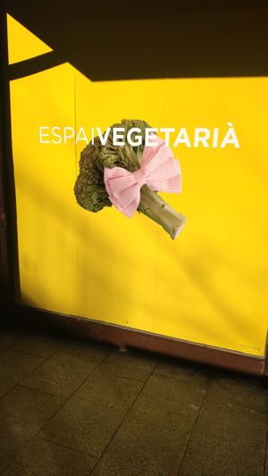 Poster outside at Veggie's World in Andorra La Vella