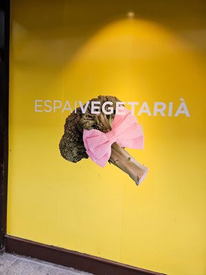  at Veggie's World in Andorra La Vella