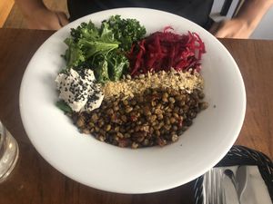 Protein salad  at Jak Malina in Szczecin