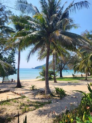  at Lazy Beach in Koh Rong