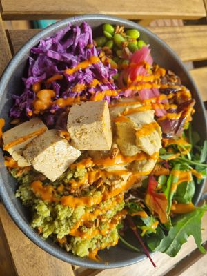 Buddha bowl at Haven in Tunbridge Wells