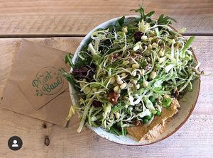 Daily salad bowl at Haven in Tunbridge Wells