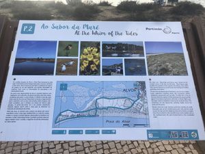 Board walk & land importance  info  at PurEssence in Alvor