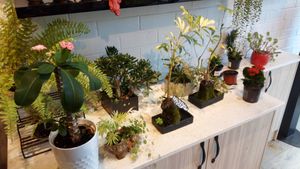 I forgot to take photos of the food (which looked great). So I took photos of the plant-based plants. #2 at Huong Viet in Footscray