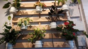 I forgot to take photos of the food (which looked great). So I took photos of the plant-based plants. #3 at Huong Viet in Footscray