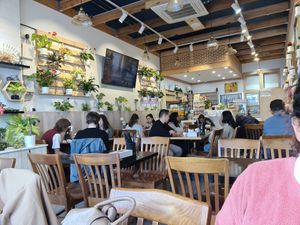 Changed indoor decor, more green at Huong Viet in Footscray