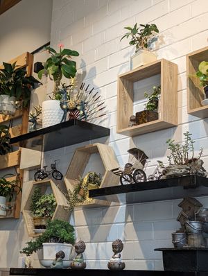 cute interior - real plants, and they've expanded the dining room into the next shopfront so there's plenty of seating at Huong Viet in Footscray