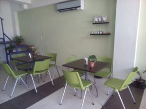 bliss at Bliss Tienda Vegana in Mazatlan