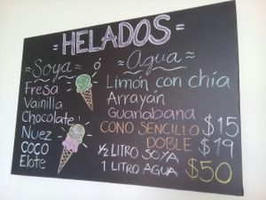 ice cream at Bliss Tienda Vegana in Mazatlan