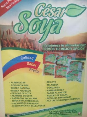 soy products at Bliss Tienda Vegana in Mazatlan