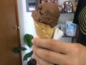 vegan chocolate ice cream  at Bliss Tienda Vegana in Mazatlan