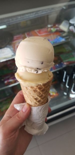 Double scoop of soy ice cream! Vanilla & oreo cookie at Bliss Tienda Vegana in Mazatlan